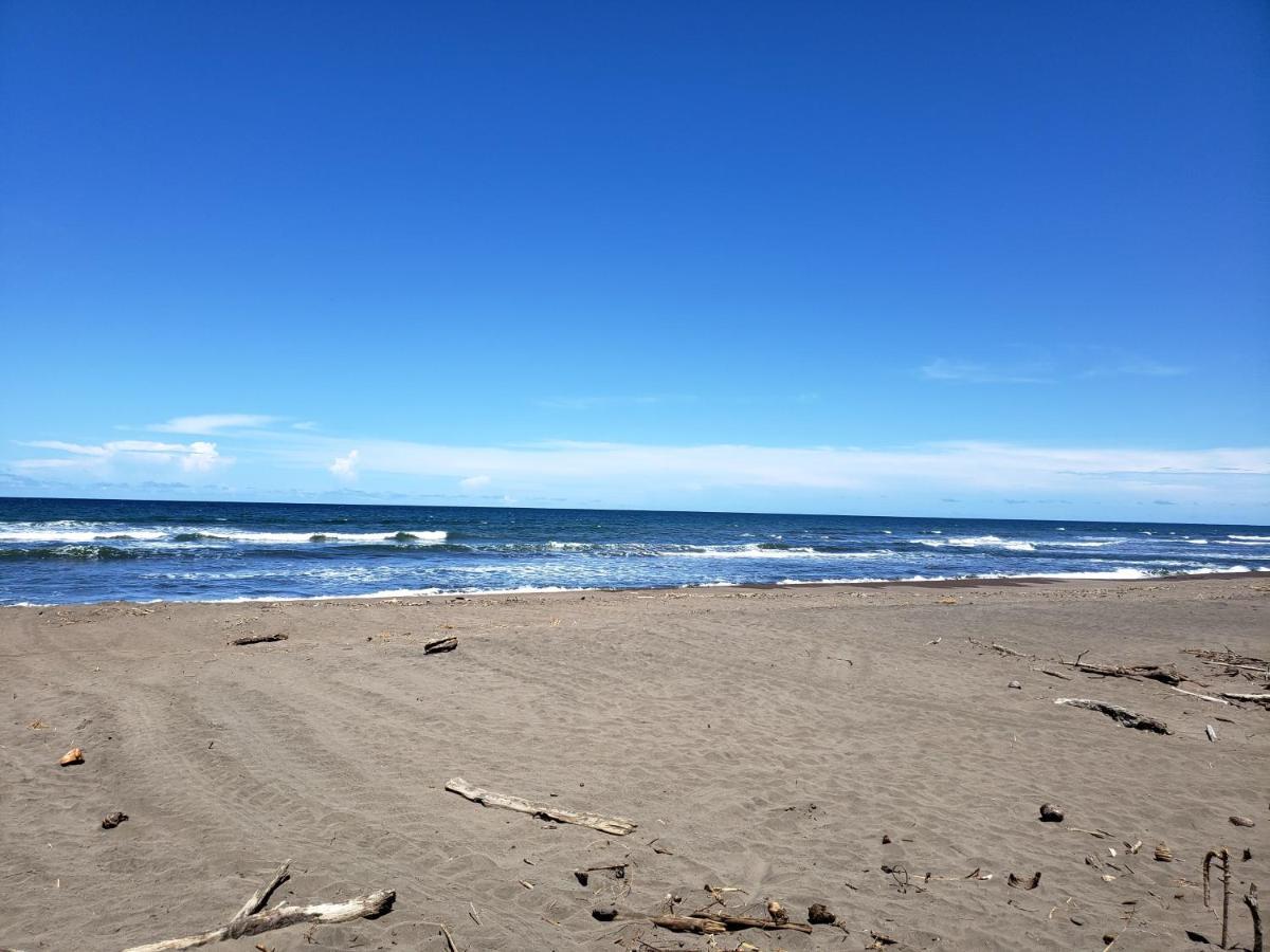 Casa Thirema Tortuguero Otel Dış mekan fotoğraf