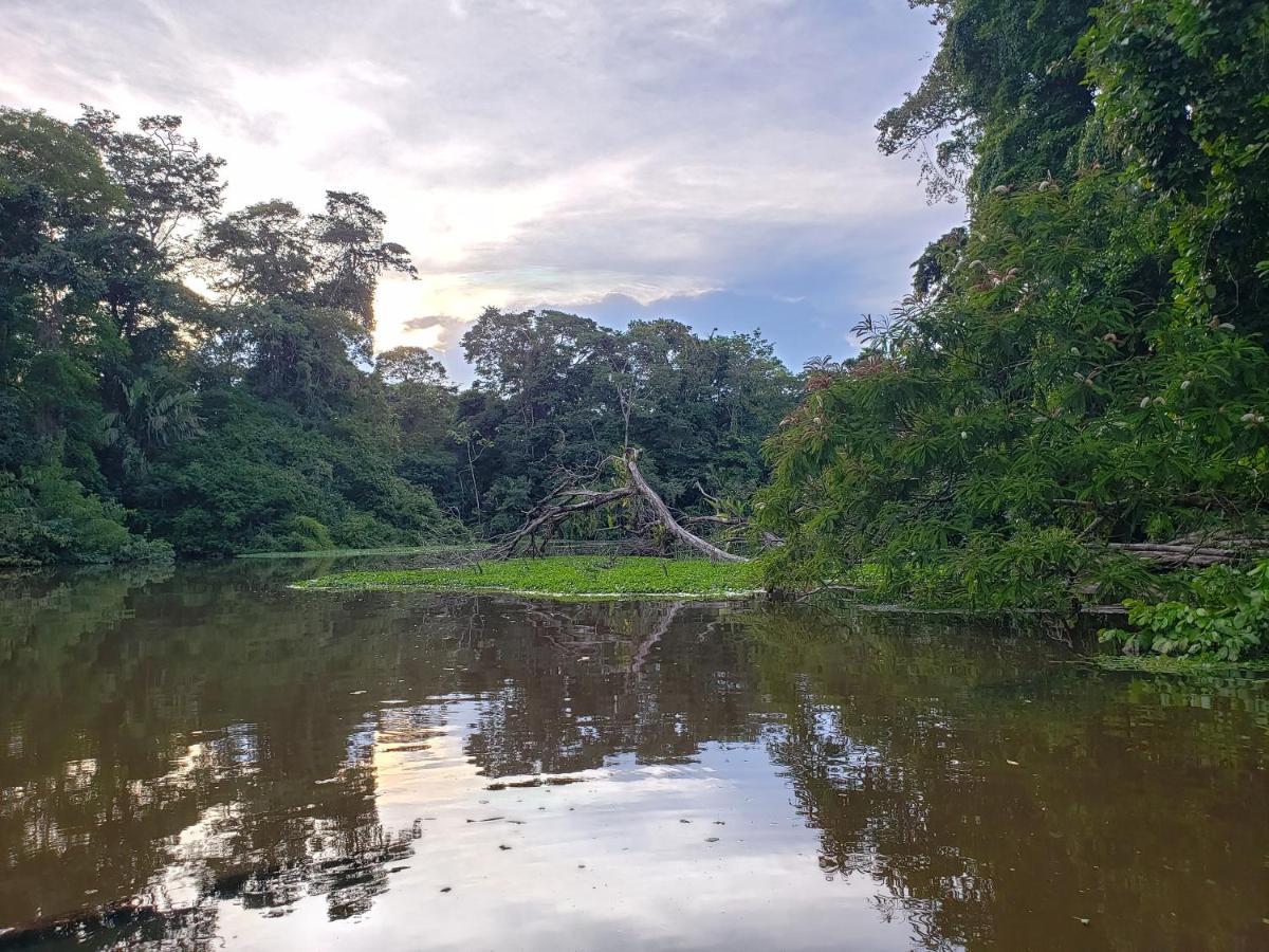 Casa Thirema Tortuguero Otel Dış mekan fotoğraf