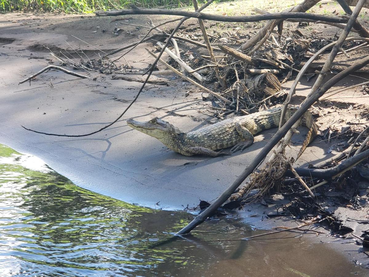 Casa Thirema Tortuguero Otel Dış mekan fotoğraf