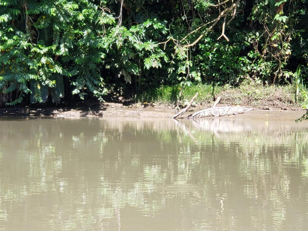 Casa Thirema Tortuguero Otel Dış mekan fotoğraf
