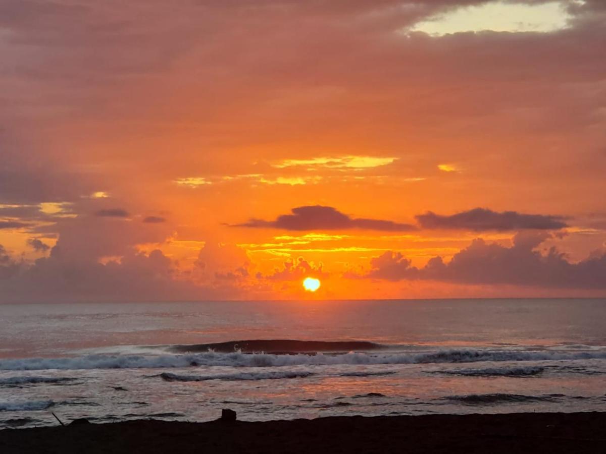 Casa Thirema Tortuguero Otel Dış mekan fotoğraf
