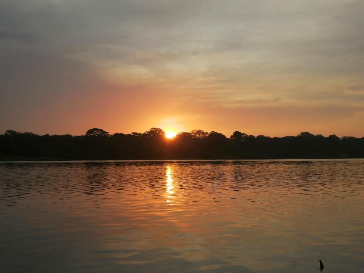 Casa Thirema Tortuguero Otel Dış mekan fotoğraf