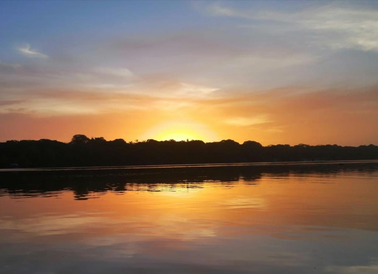 Casa Thirema Tortuguero Otel Dış mekan fotoğraf